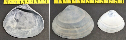 © Thijs de Boer © Thijs de Boer